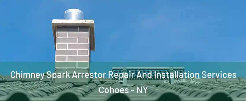  Chimney Spark Arrestor Repair And Installation Services Cohoes - NY