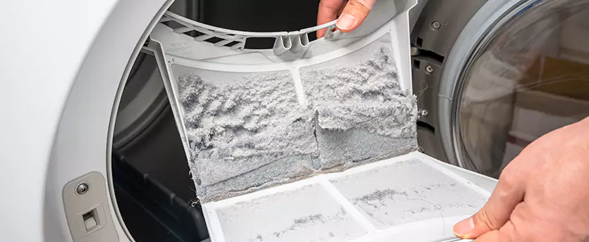 Best Dryer Lint Removal Company in Cohoes, New York