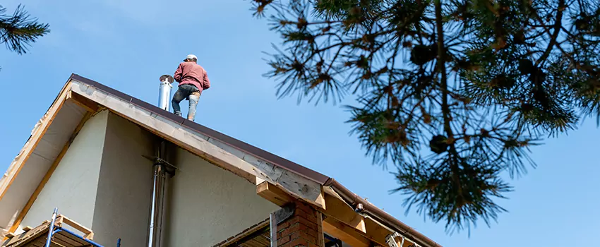 Birds Removal Contractors from Chimney in Cohoes, NY